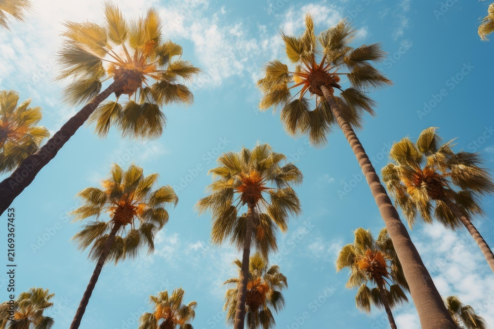 Naklejka premium Palm trees foliage and trunks against vivid blue sky creating tropical summer feeling