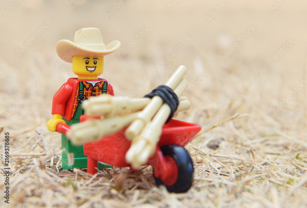 Fototapeta premium Lörrach, Germany - July 29th 2026: Lego minifigure of happy farmer is doing in the natural dried grass field. Editorial illustrative image of popular plastic toy.