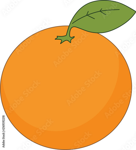 Orange Fruit Flat Vector Illustration