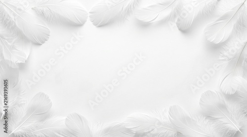 White feathers arranged in a rectangular perimeter leave a spacious white area for professional text integration.