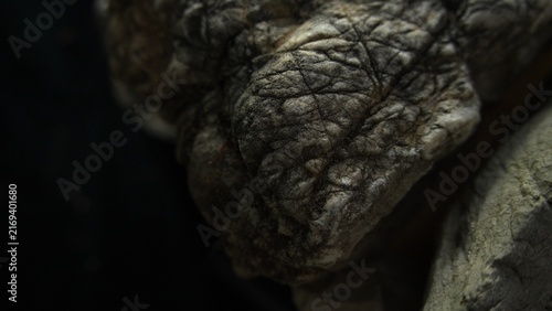 Dark weathered stone texture with natural contrast