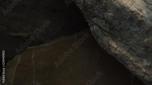 Weathered stone composition with natural copy space