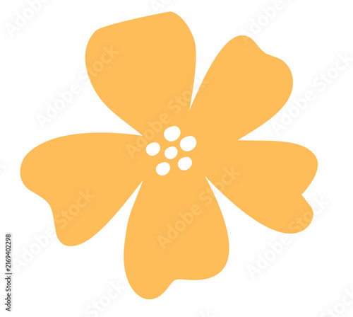 yellow flower isolated on white