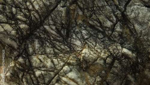 Weathered stone surface with dense mineral texture