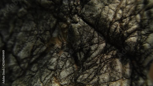 Layered stone surface with natural mineral details