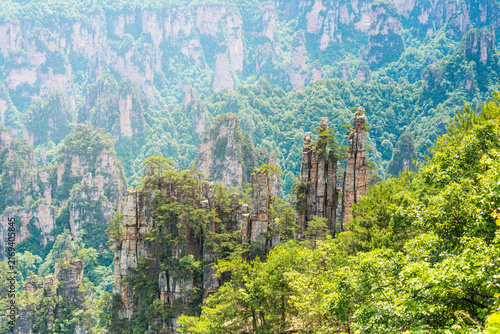 Canvastavla Tall rock pillars formation in green lush foliage mountain landscape in Zhangjia