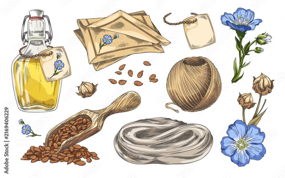 Fototapeta premium Flax products sketch collection, blue flowers, dry seeds, linen napkins, vector hand drawn organic superfood, oil jar