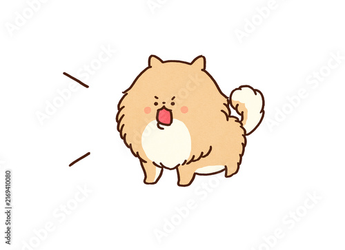 Konstfotografi Cute pomeranian barking loudly