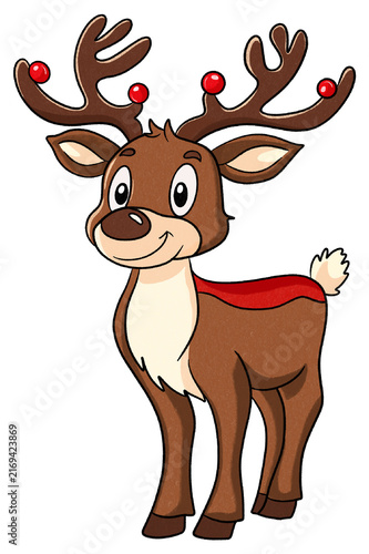 Reindeer