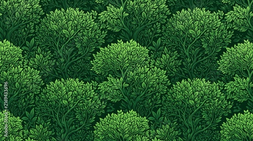 Lush Green Tree Canopy Viewed from Above