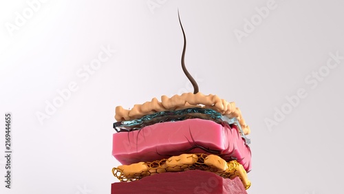 Stacked gold honeycomb; translucent cyan glass; and pink meat-like burger layers in abstract 3d food tech composition