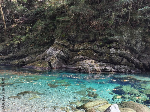 Bild auf Leinwand 安居渓谷の透明な仁淀ブルーと苔むした岩壁