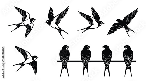 Graceful flying swallows and perched birds rendered as minimal black and white vector art design elements