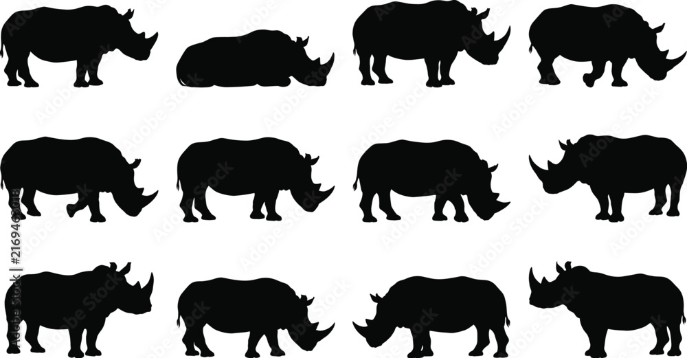 Obraz premium Black Rhinoceros Silhouettes in Standing, Walking and Resting Poses with Distinct Horn Shapes