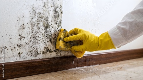 Hand in yellow rubber glove cleaning black mold and mildew from a white indoor wall with a sponge for home maintenance and health protection services