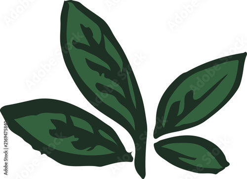 Vector illustration hand drawn autumn leaves in warm colors. Doodle sketch on white background. Leaf element with marker or charcoal texture