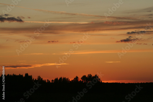 Vibrant golden sunset over forest tree silhouettes in rural countryside