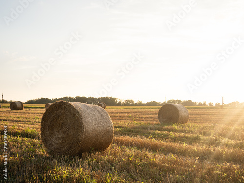 Foto hay bales in field. The photo was taken during sunset.