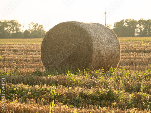 haystack in the field. The photo was taken during sunset.