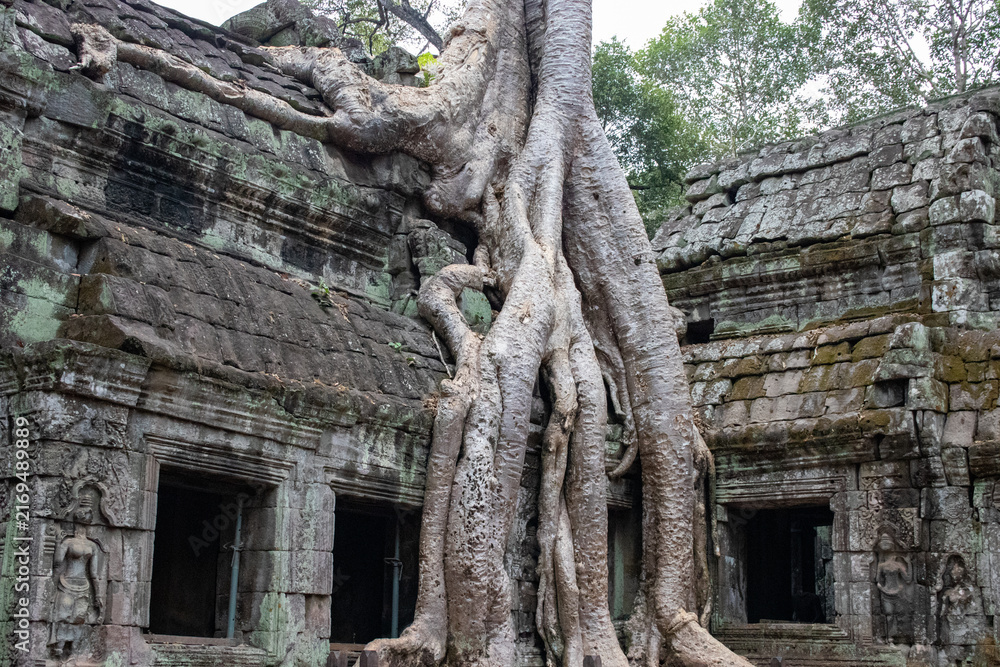 Obraz premium temple de Ta Prohm, complexe d'Angkor, Siem Reap, Cambodge