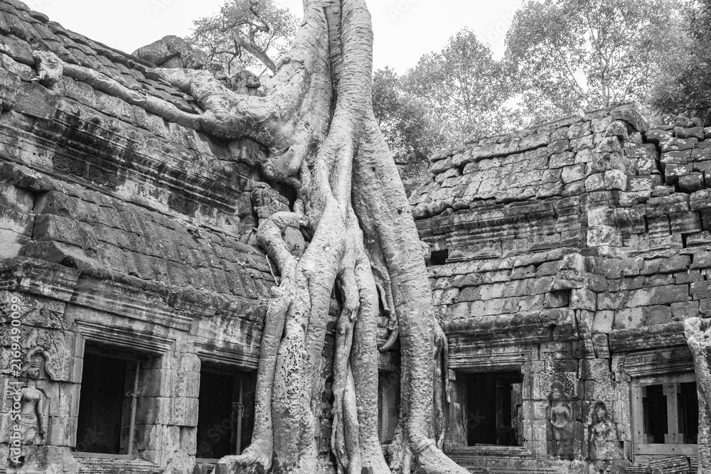Obraz premium temple de Ta Prohm, complexe d'Angkor, Siem Reap, Cambodge