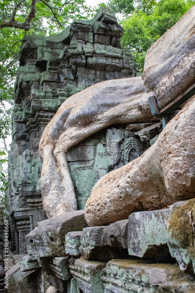 Obraz premium temple de Ta Prohm, complexe d'Angkor, Siem Reap, Cambodge