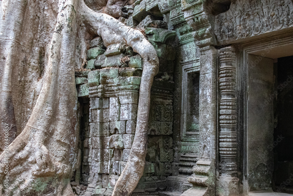 Obraz premium temple de Ta Prohm, complexe d'Angkor, Siem Reap, Cambodge