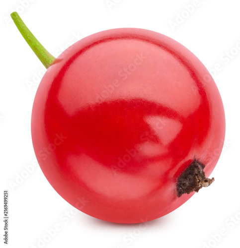 Organic red currant one berry close up. Red currant fruit isolated on white background with clipping path