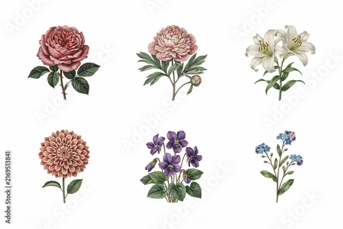Beautiful set of six elegant flowers illustration