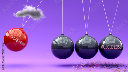 Low Testosterone leads to muscle loss. A Newton cradle metaphor showing how low testosterone triggers muscle loss. Cause and effect relation between them. Vicious cycle ,3d illustration