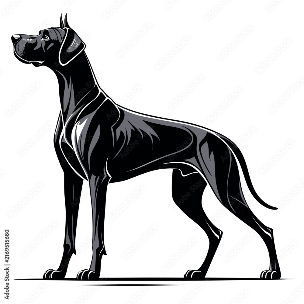 Obraz premium majestic standing great dane dog vector silhouette side profile