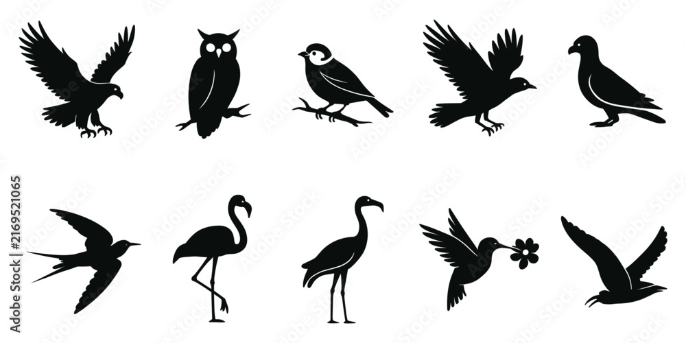 Naklejka premium Collection of ten black bird silhouettes including eagle owl and flamingo on a solid black