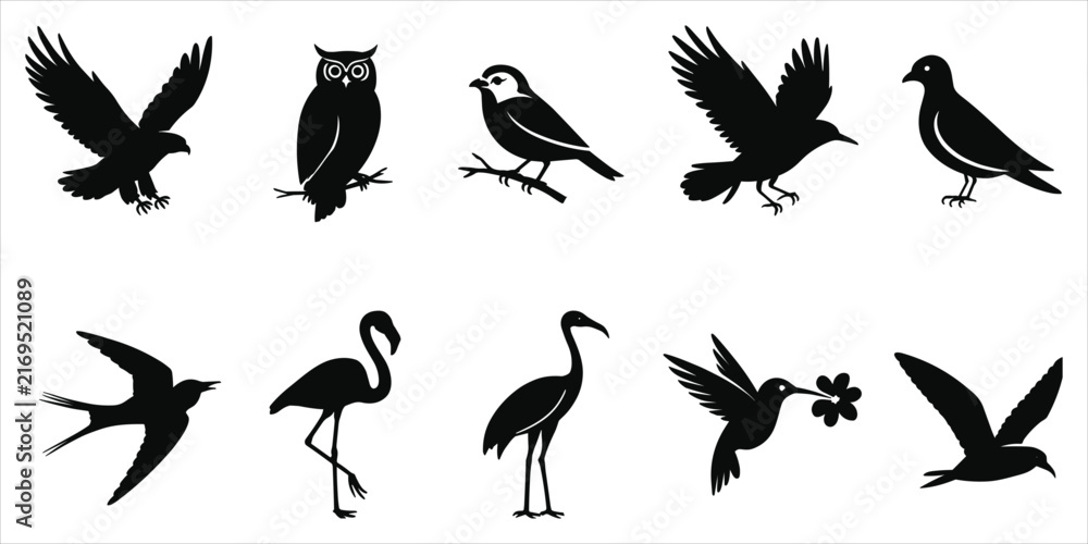 Naklejka premium Collection of ten black bird silhouettes including eagle owl and flamingo on a solid white