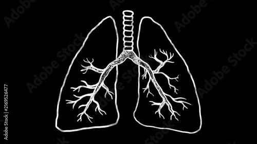 Seamless looped 2D hand-drawn video overlay of white watercolor doodle human lungs with line boil effect on transparent alpha channel for medical infographics, healthcare and biology presentations.
