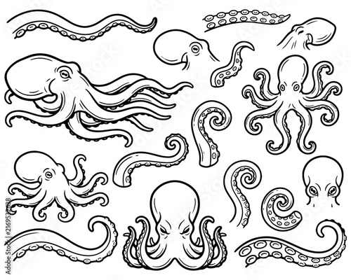 Octopus and Tentacles Hand Drawn Line Art Set, Black and White Marine Animal Outline Illustrations