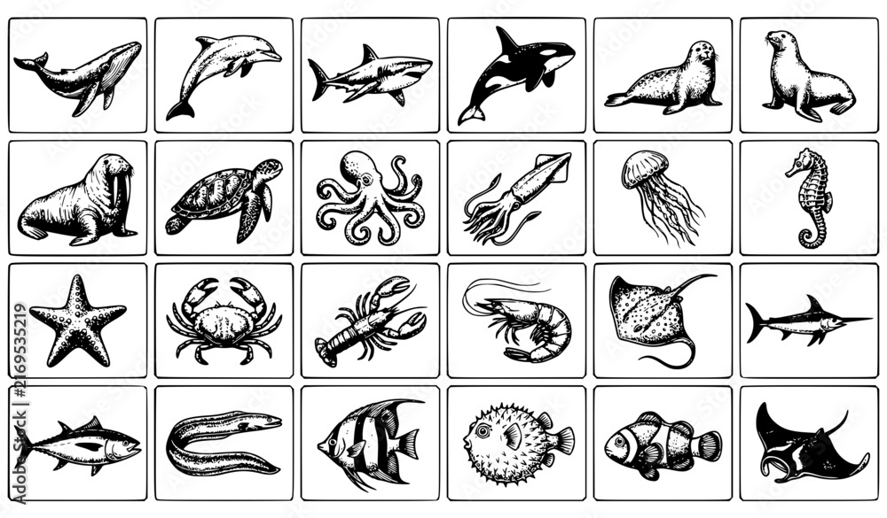 Fototapeta premium Sea animals collection with whale dolphin shark octopus turtle and marine creatures vintage vector set