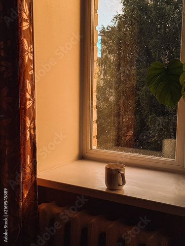 Mug on windowsill beside houseplant in warm golden evening light, cozy home interior.