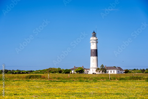 The Kampen lighthouse stands on a green meadow in Sylt