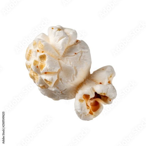 Seashell Isolated on White Background Representing Ocean, Beach, Marine Life, Coastal Nature and Summer Vacation Concept