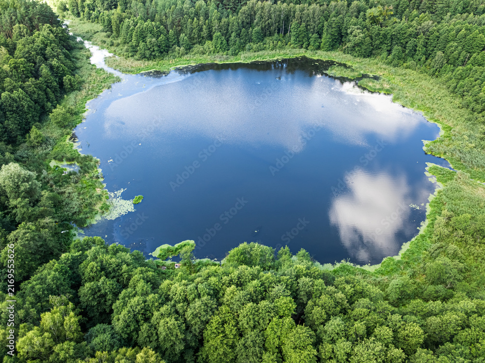 Naklejka premium Drone view: Small pond hidden in a wild Polish forest.