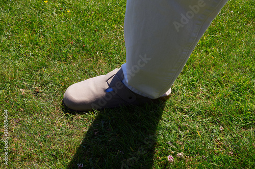 Canvastavla Close up of a foot wearing comfortable beige suede clog shoe walking on green summer grass (Poaceae) in sunny weather