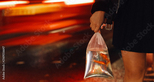Bild auf Leinwand a woman holding a bag of water and fish in it