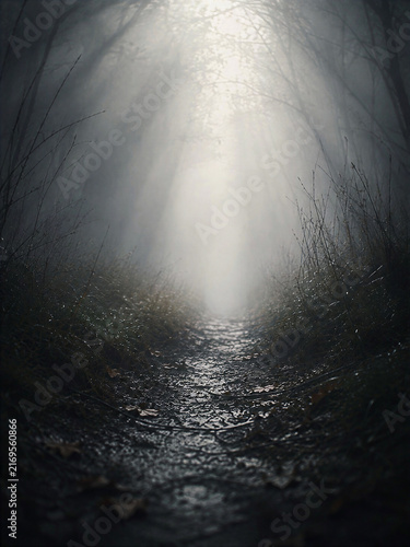 Photography Powerful rays of sunlight penetrate dark underwater depths, illuminating a mysterious marine environment and creating a dramatic atmospheric scene for nature and conceptual designs