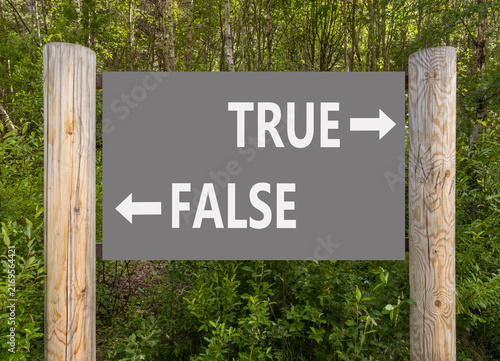 Canvastavla True or false symbol
