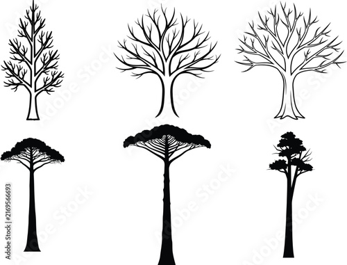 Set of tree vector icons isolated on transparent background
