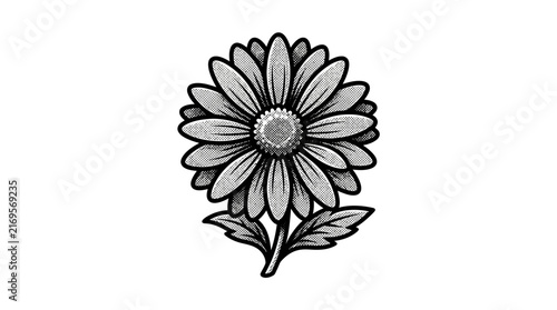 Sunflower blossom graphic in a classic linocut style.
