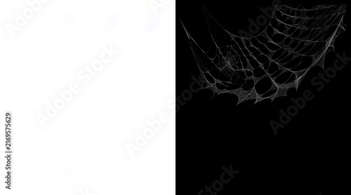 Spooky spider web illustration on black background, realistic cobweb texture for Halloween, creepy spiderweb graphic element