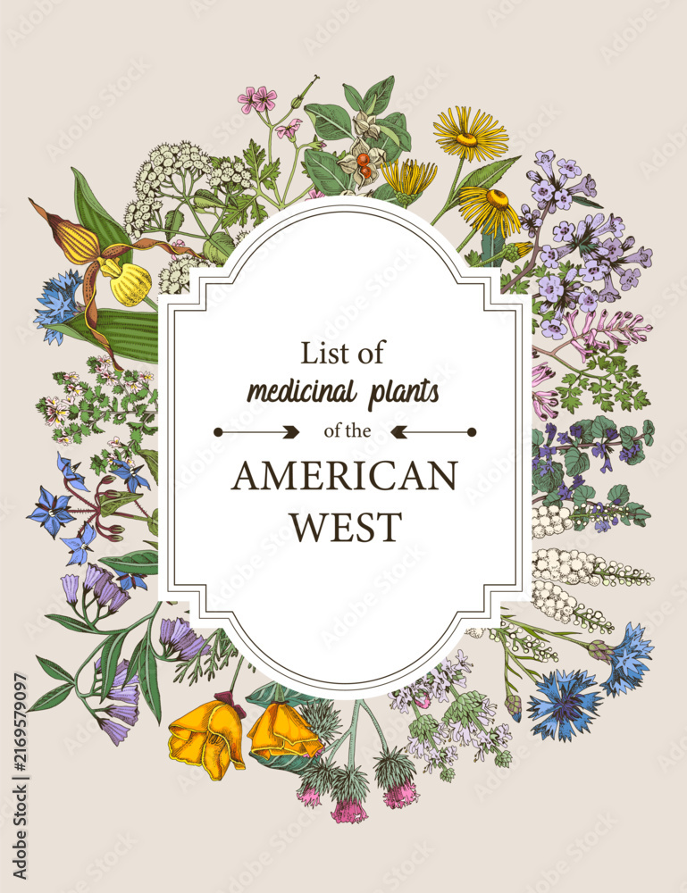 Obraz premium Medicinal herbs of American West vector