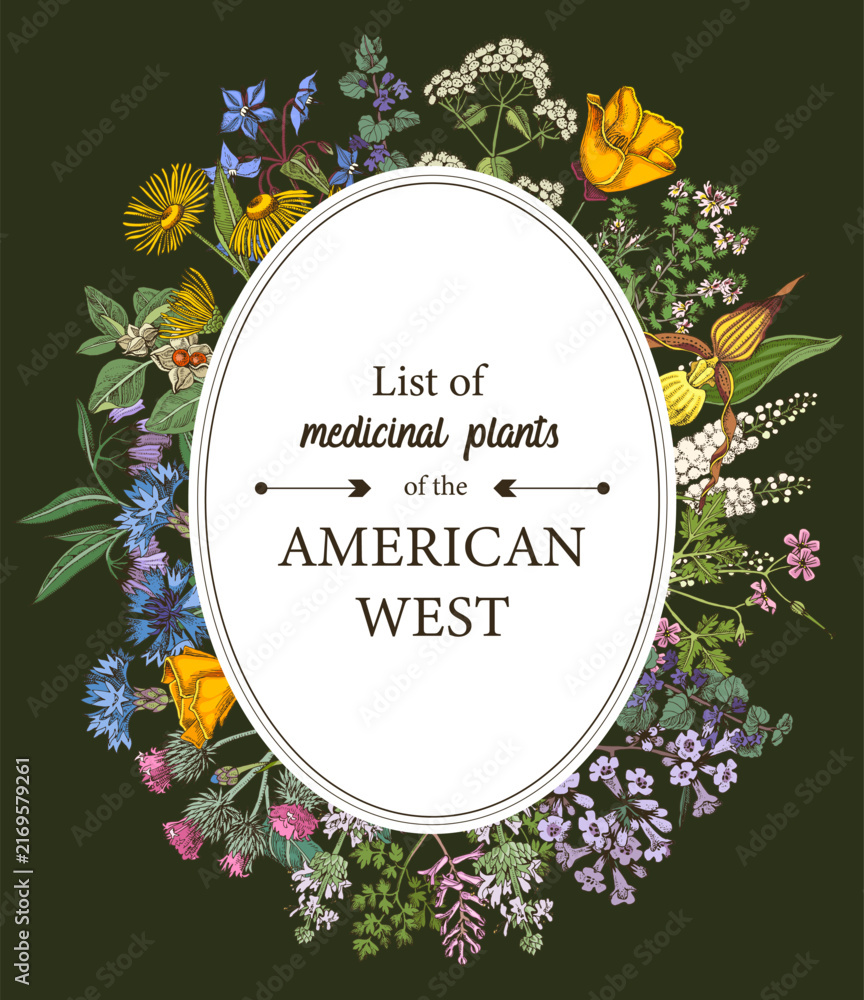 Obraz premium Medicinal herbs of American West vector