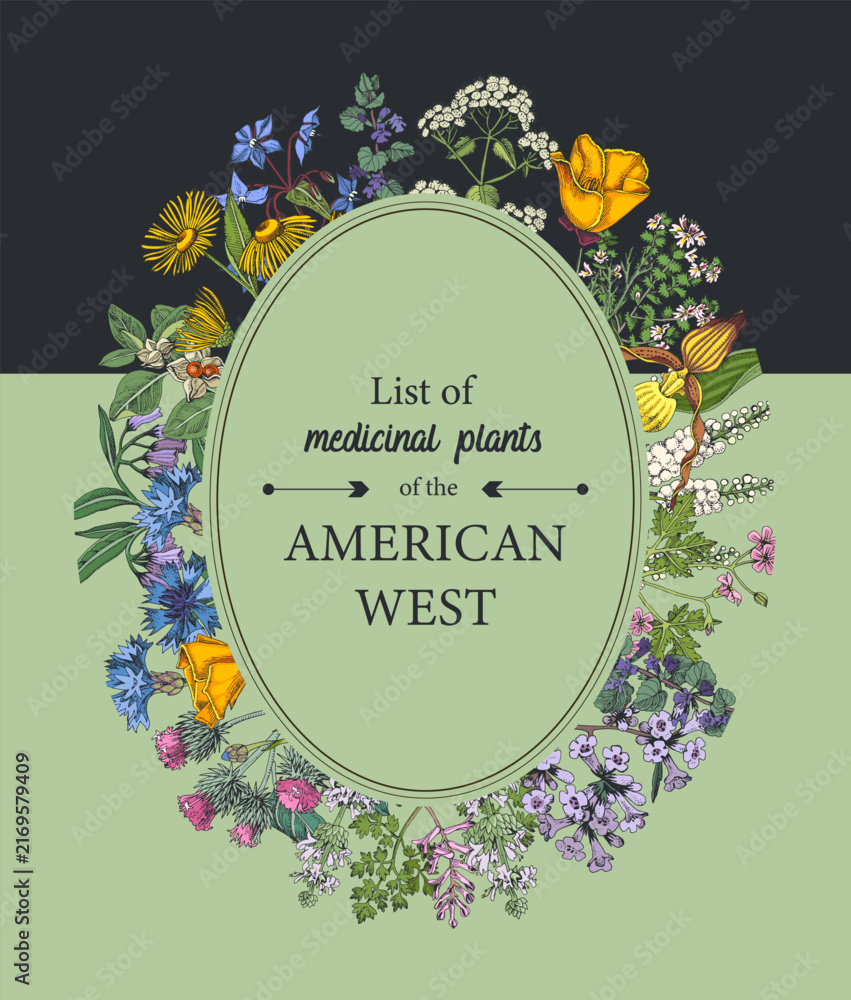 Obraz premium Medicinal herbs of American West vector
